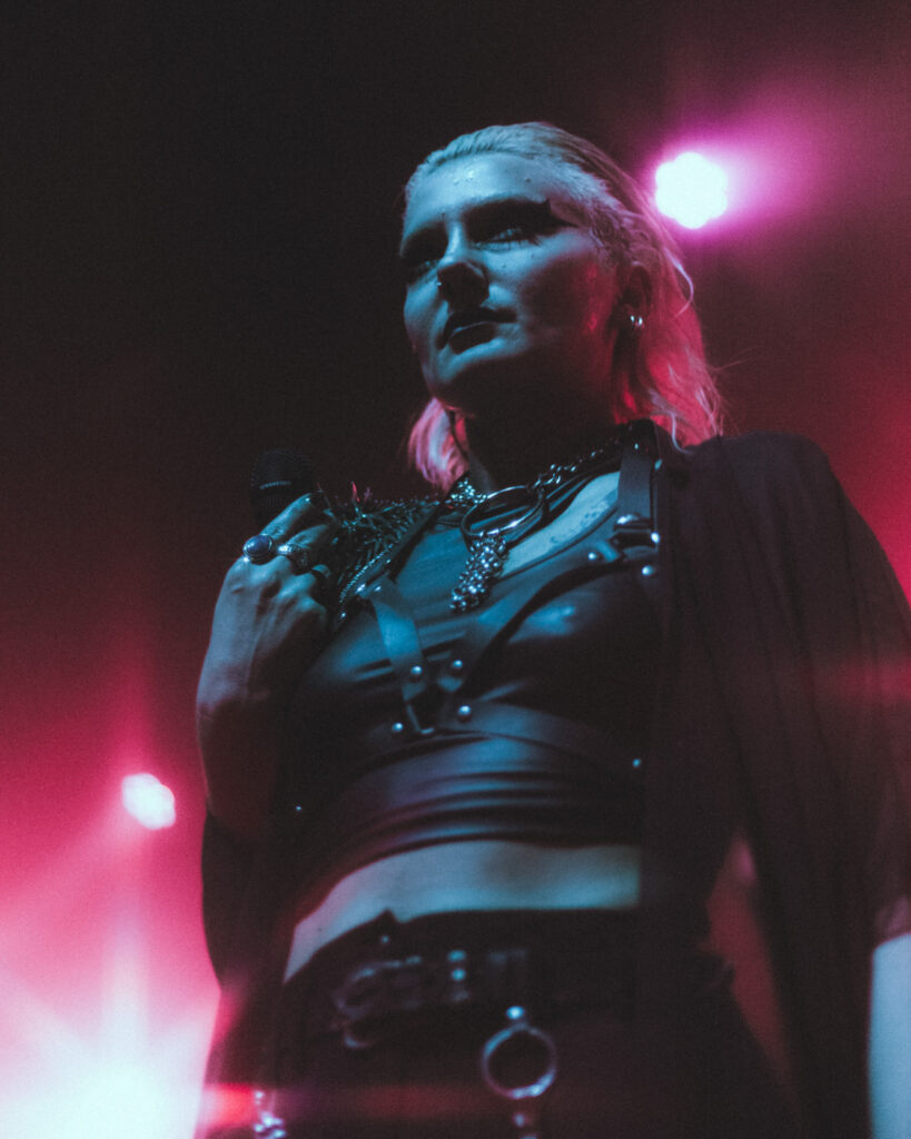 WP Fotos 35 819x1024